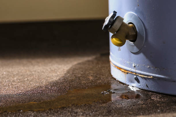 Best Ceiling water damage repair  in Jefferson, NC