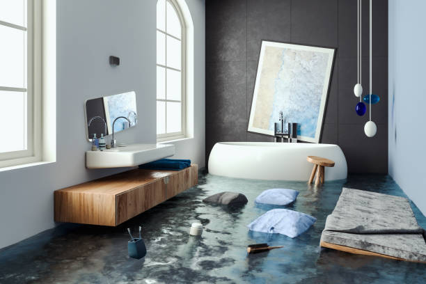 Best Local water damage restoration  in Jefferson, NC