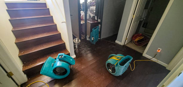 Best Water damage restoration process  in Jefferson, NC