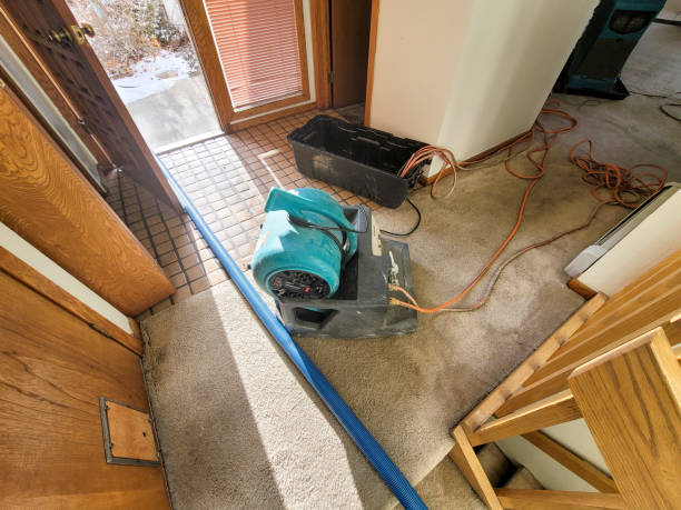 Best Flood damage cleanup  in Jefferson, NC
