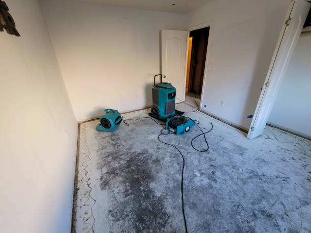 Best Water damage cleanup near me  in Jefferson, NC