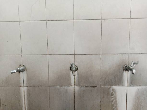 Best Mold removal after water damage  in Jefferson, NC