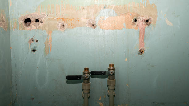 Best Flood restoration services  in Jefferson, NC