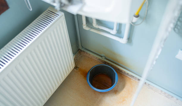 Best Carpet water damage restoration  in Jefferson, NC