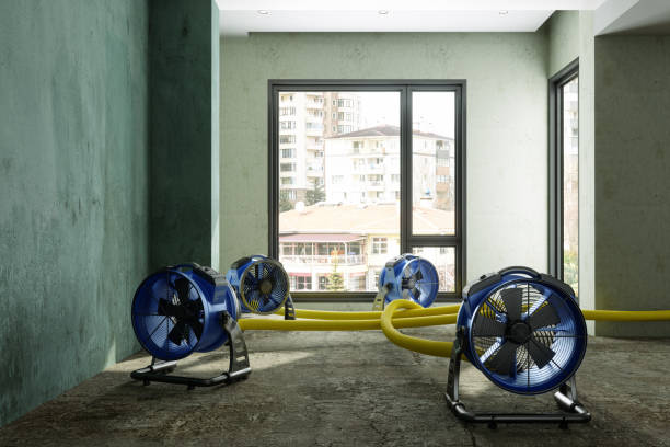 Best Residential water damage restoration  in Jefferson, NC