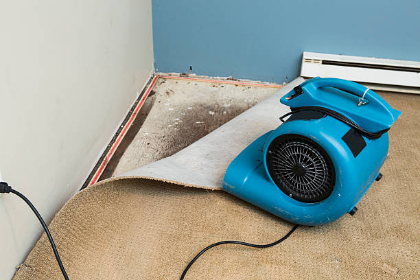 Best Water damage restoration near me  in Jefferson, NC