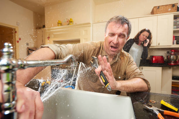 Best Flooded house restoration  in Jefferson, NC